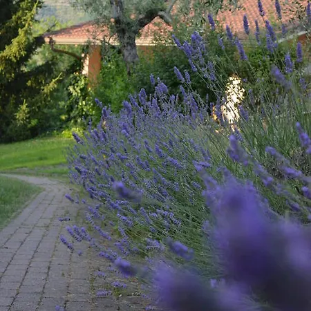 Olivanda Borgo a Buggiano