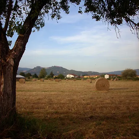 Olivanda * Borgo a Buggiano