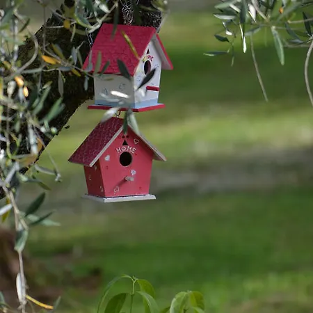Olivanda Oda ve Kahvaltı Borgo a Buggiano