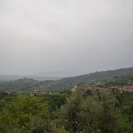Oda ve Kahvaltı Olivanda